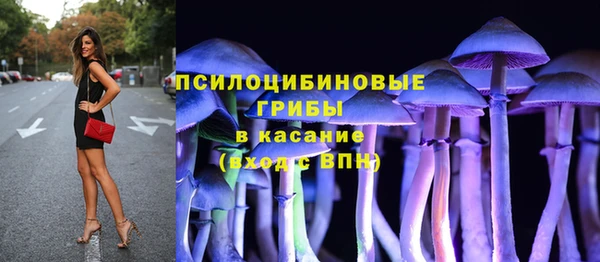 гидра Алексин
